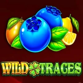 Wild Traces online slot from Amusnet Interactive – play at absart.nl